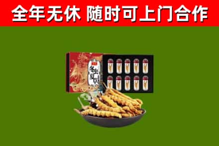 滨海回收冬虫夏草价格